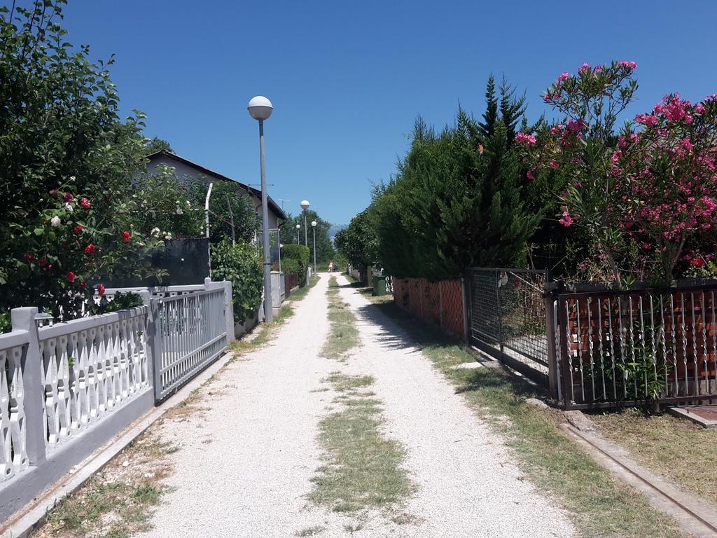 Apartman Nin-Dodo Εξωτερικό φωτογραφία